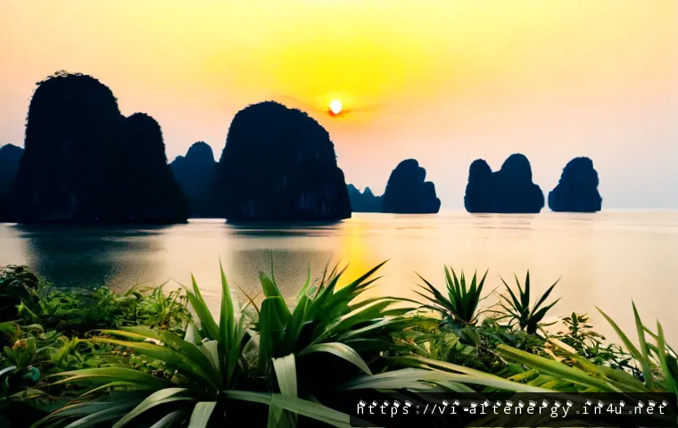 Năng lượng sinh khối cho nông nghiệp: Chọn giải pháp theo phụ phẩm, chi phí và quy mô trang trại 4 농업용 바이오매스 에너지 관련 이미지 2